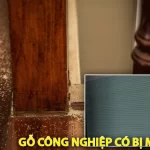 Gỗ Công Nghiệp Có Bị Mối ăn Không